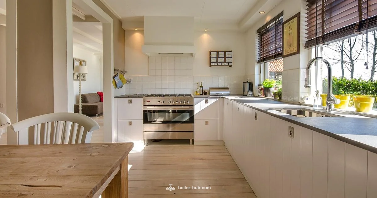 Clean Zojirushi Boiler - Boiler Hub