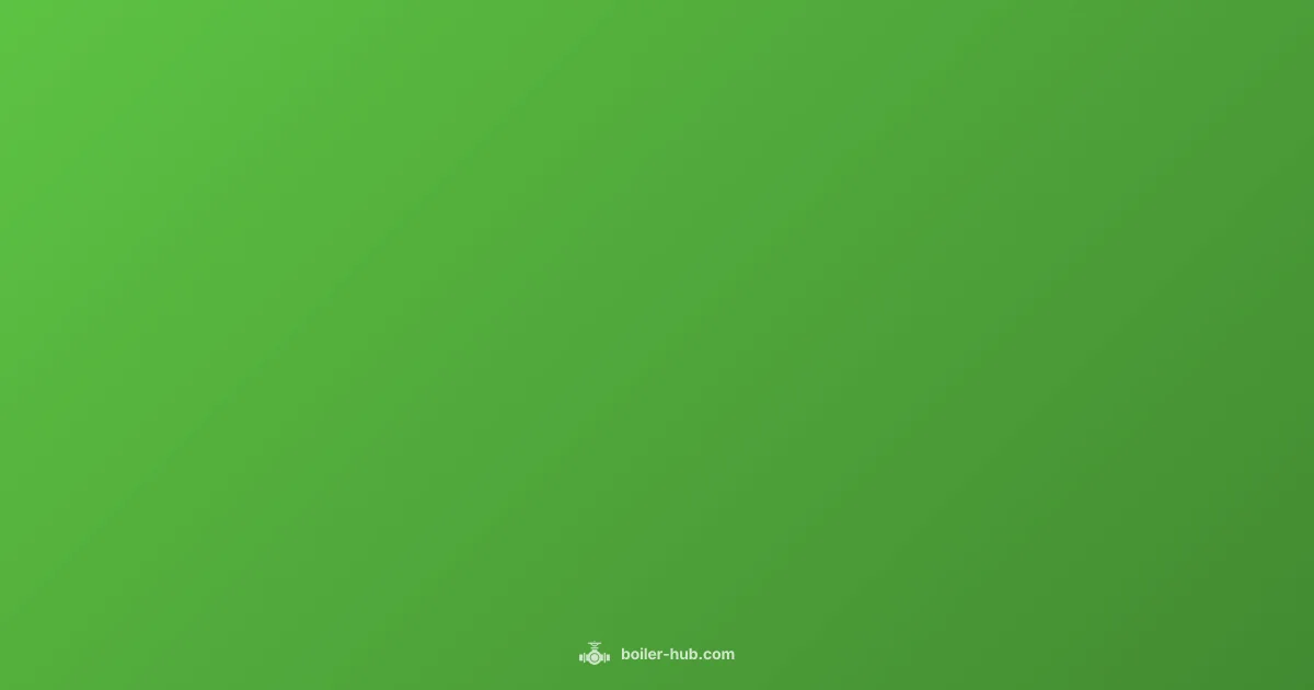 Viessmann Service Guide Viessmann Service Guide - Boiler Hub (illustration)