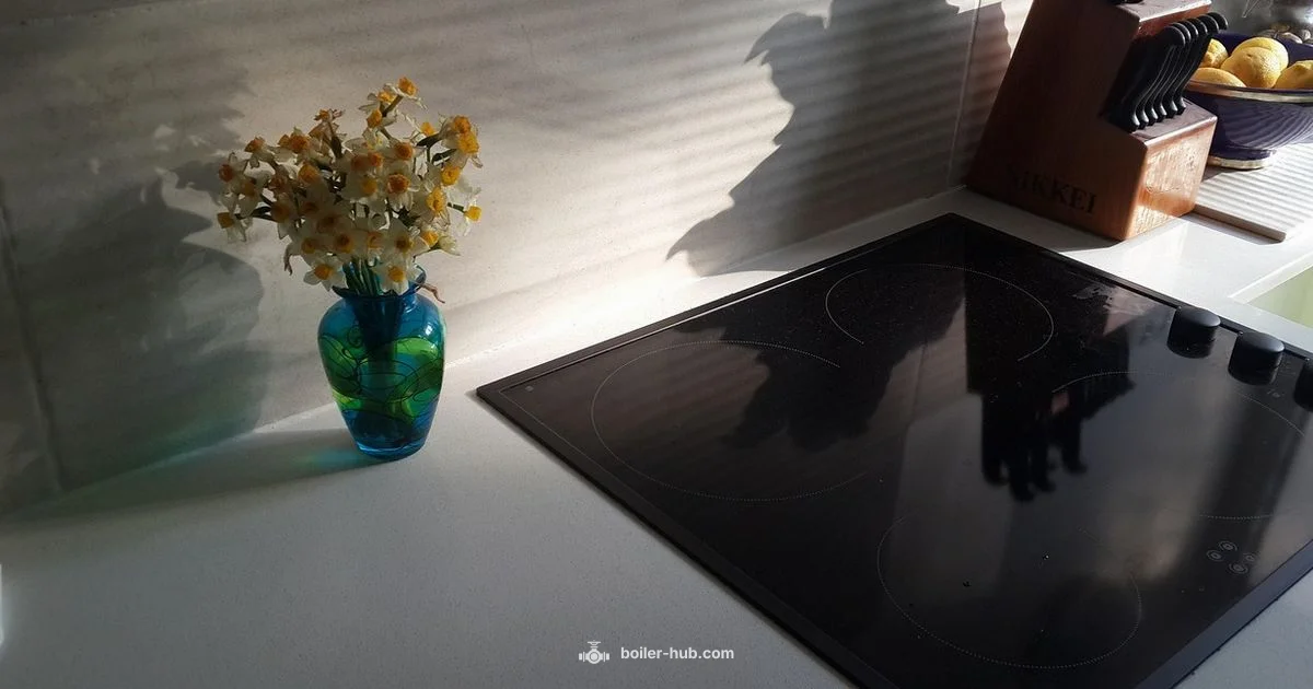 Gas Free Boiler - Boiler Hub