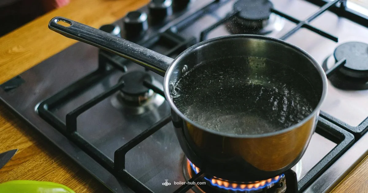 Gas Boiler Guide - Boiler Hub