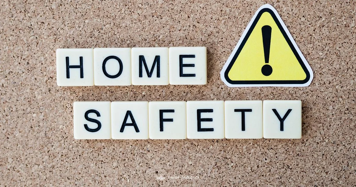 Boiler Safety Guide Boiler Safety Guide - Boiler Hub