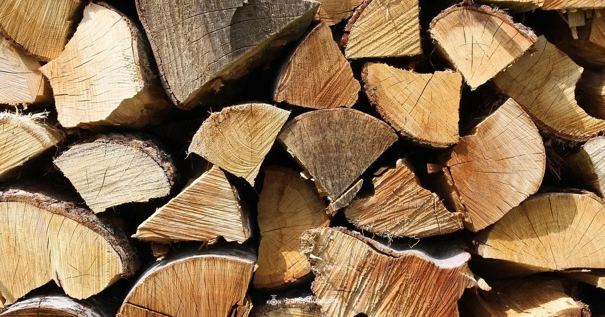 Side Arm Boiler Guide - Boiler Hub