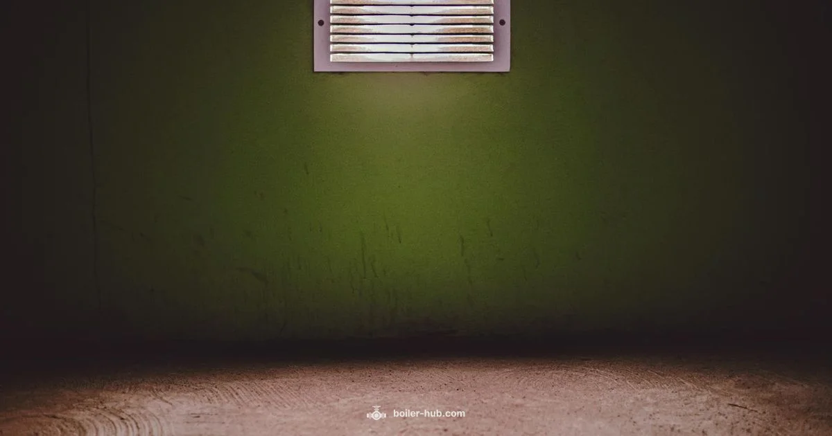 Boiler vs Furnace Guide - Boiler Hub