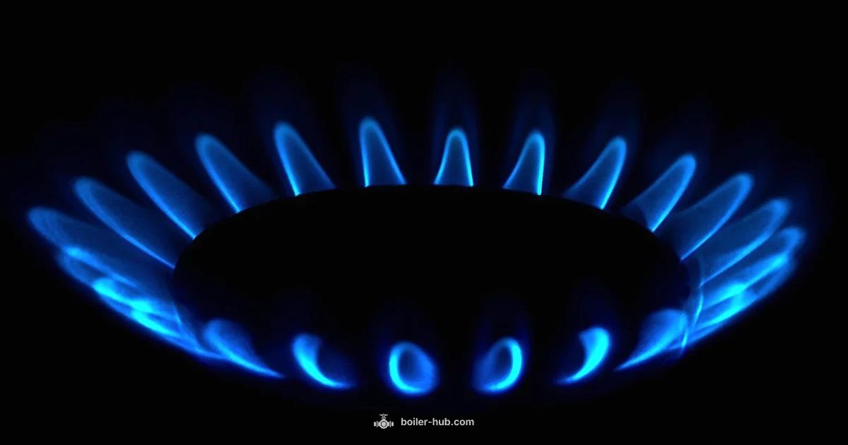 Gas Off Boiler Guide - Boiler Hub