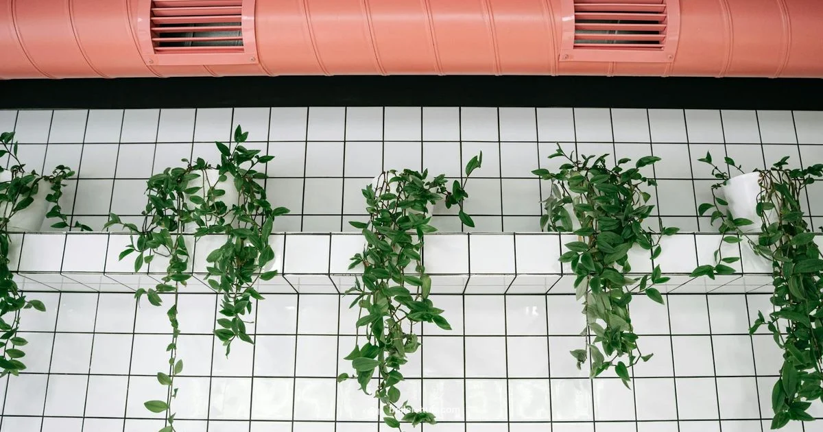 Boiler System Basics - Boiler Hub