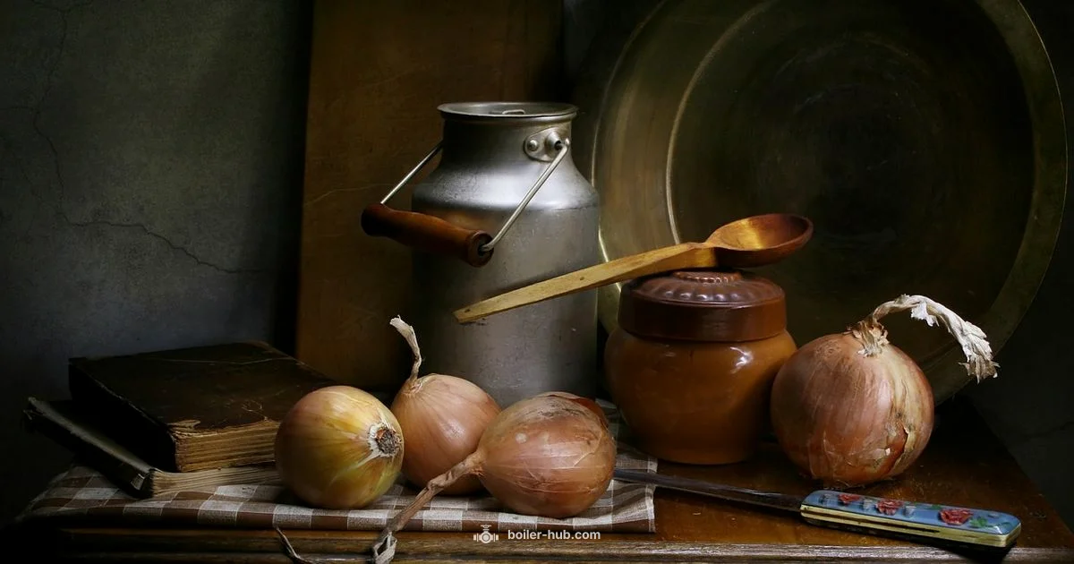 Boiler Onions Guide - Boiler Hub