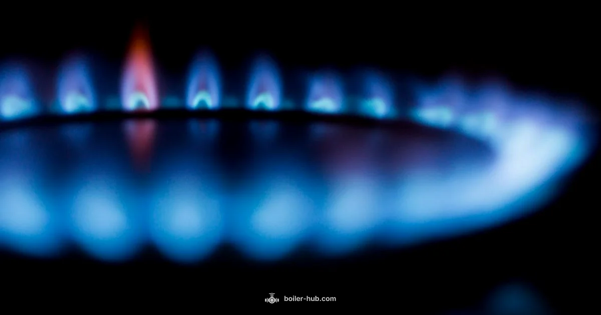 Gas Smell Safety Gas Smell Safety - Boiler Hub
