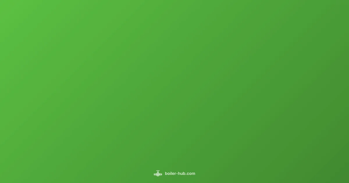 Boiler Leak Fix - Boiler Hub (illustration)