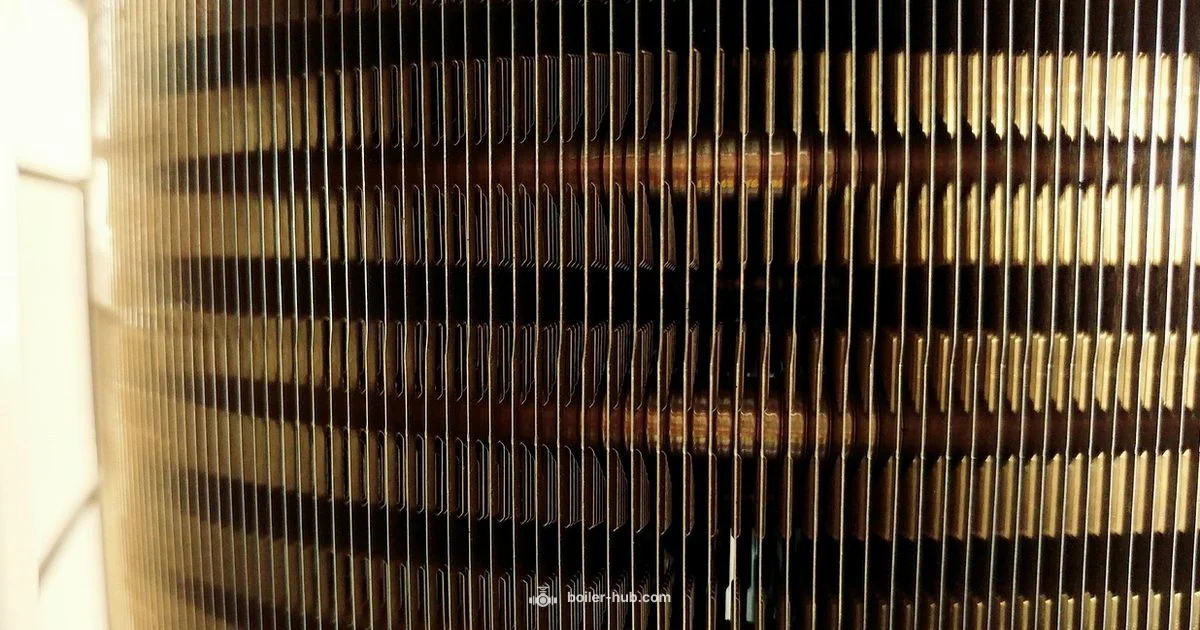 Cool Boiler Room Guide - Boiler Hub