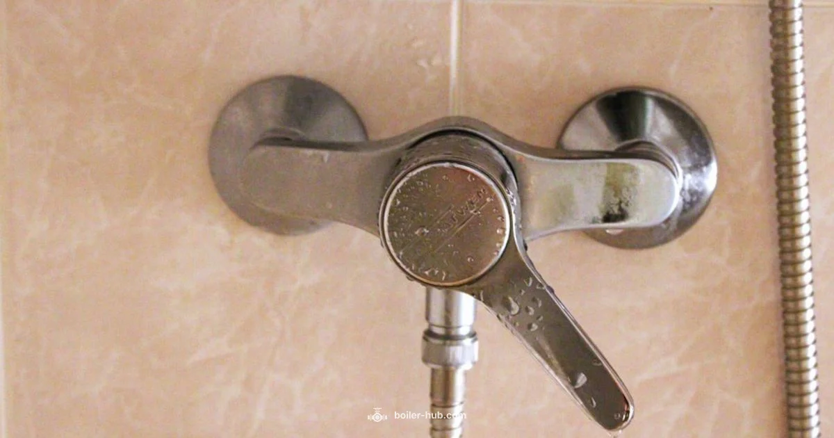 Shower Pump Guide - Boiler Hub