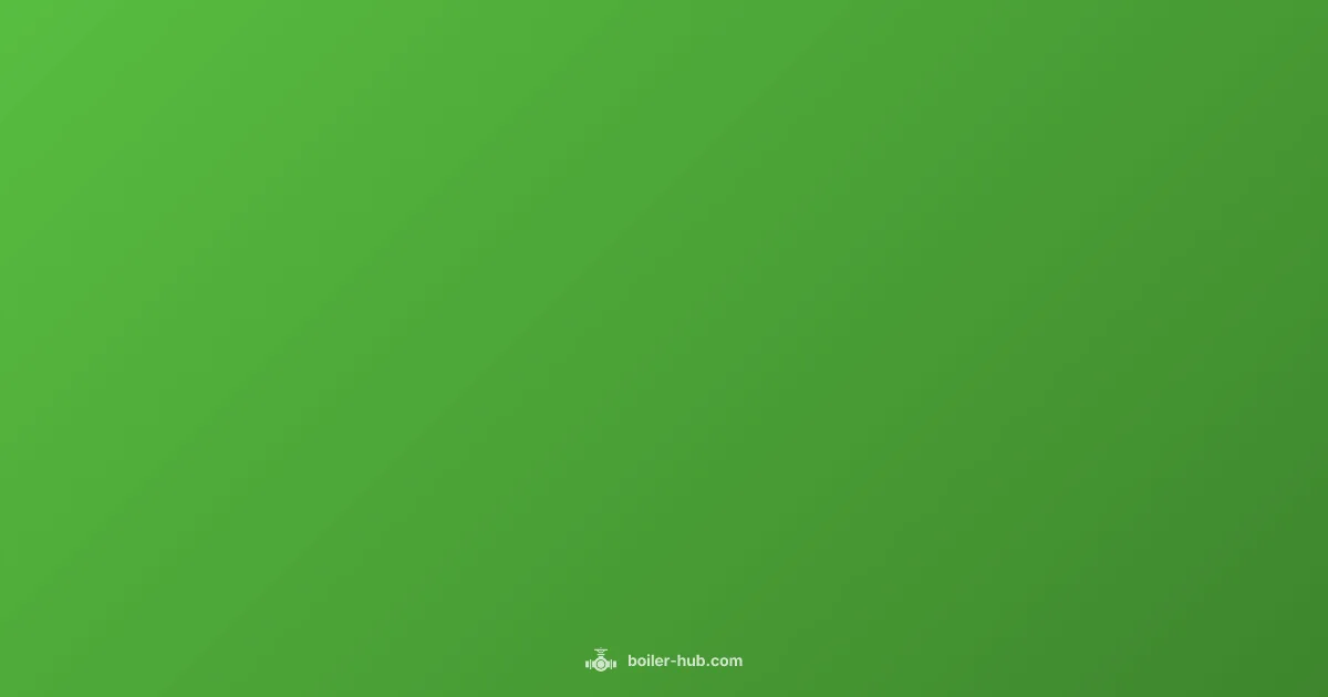 Boiler Leak Fix - Boiler Hub (illustration)