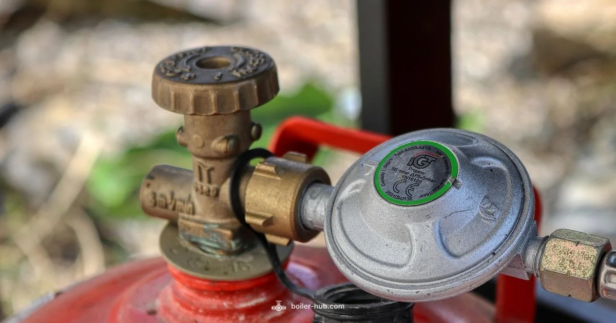 Propane Boiler Guide - Boiler Hub