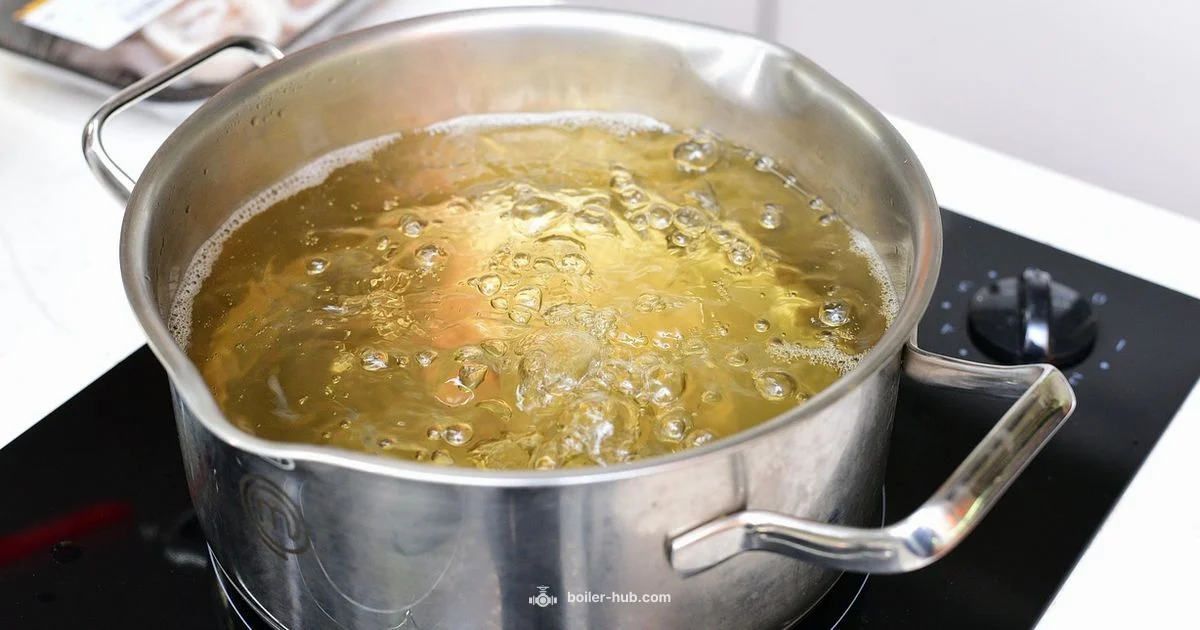 Double Pot Boiler Guide - Boiler Hub