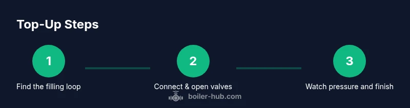 Process diagram for topping up boiler pressure