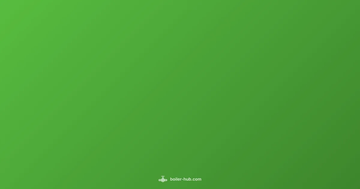 Viessmann Service Mode - Boiler Hub (illustration)