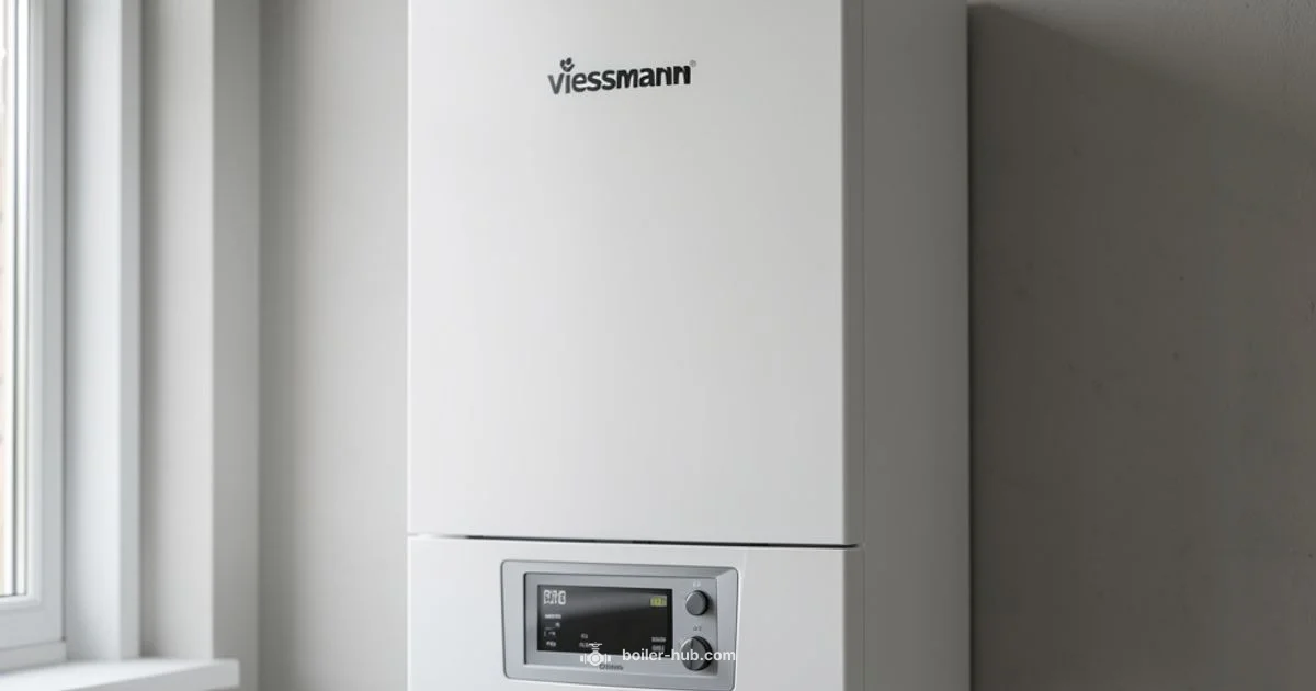 Viessmann Service Mode - Boiler Hub