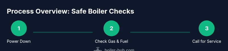 Illustration of a boiler with technician and steps