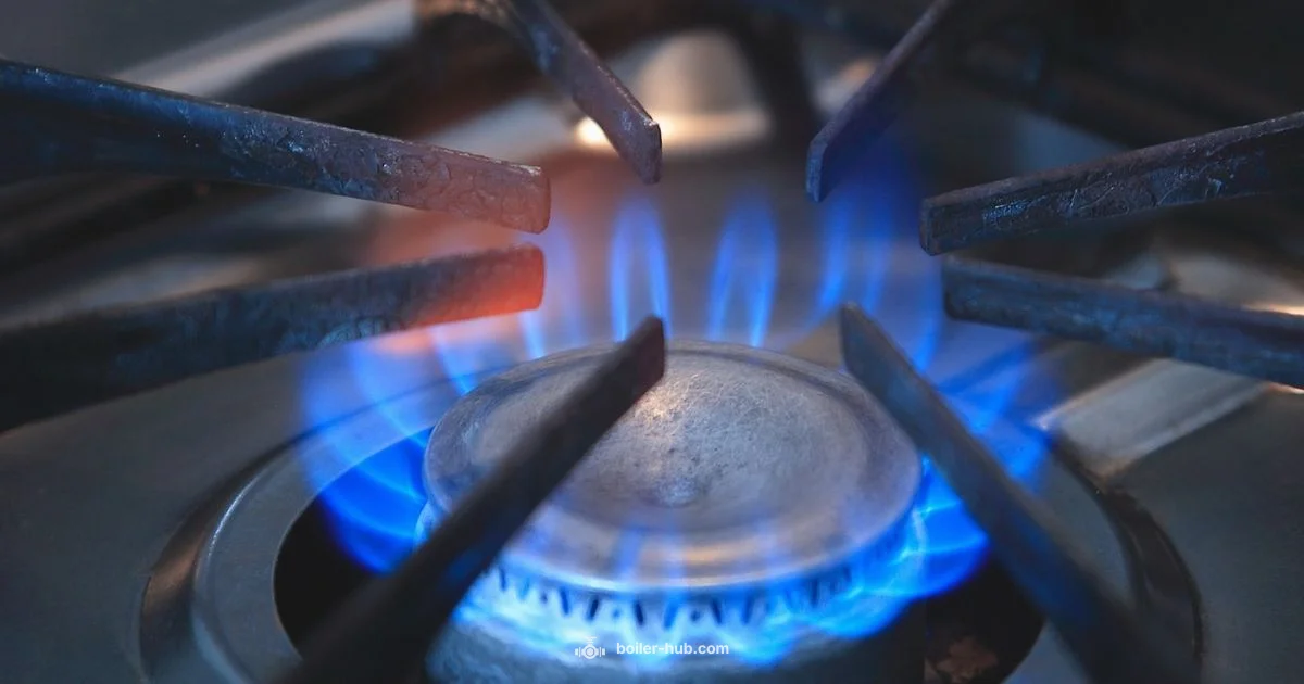 Crawfish Boil Setup - Boiler Hub