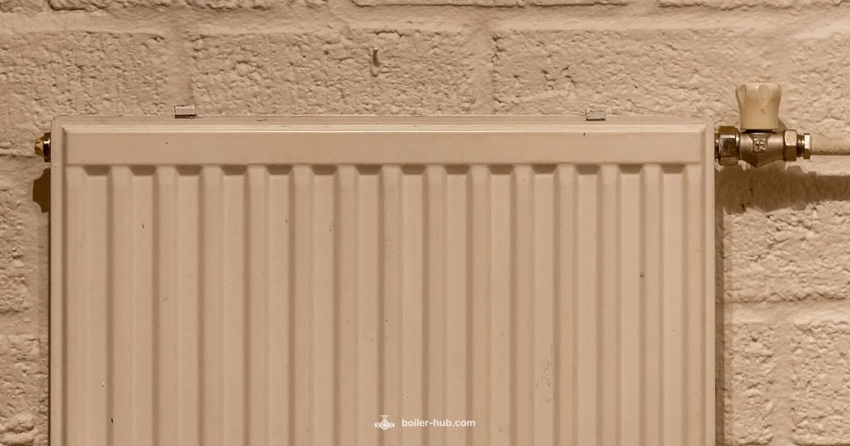 Boiler Status Check - Boiler Hub