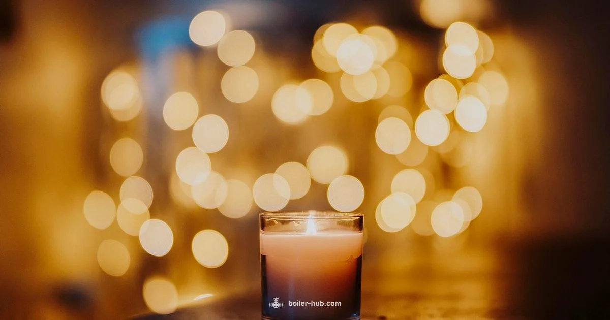 Boiler Sizing Guide - Boiler Hub