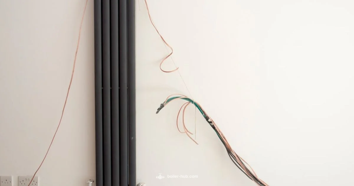 Annual Boiler Service - Boiler Hub