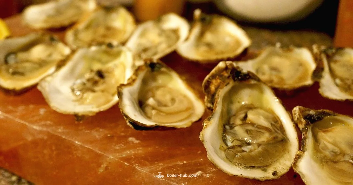 Seafood Boiler Essentials - Boiler Hub