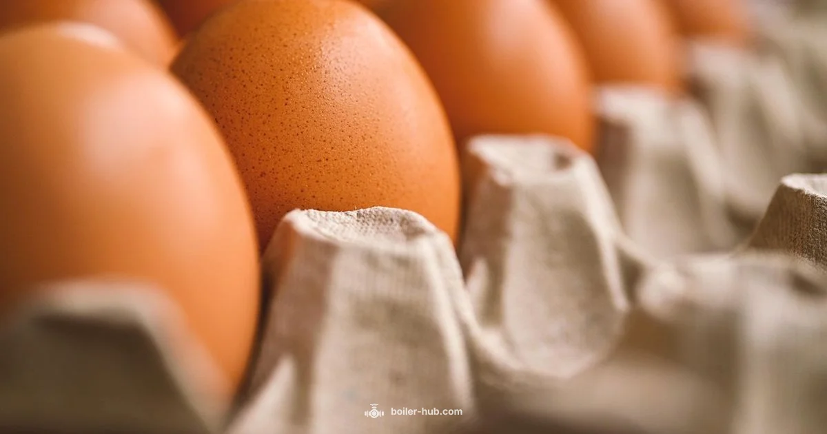 Kent Egg Boiler Guide - Boiler Hub