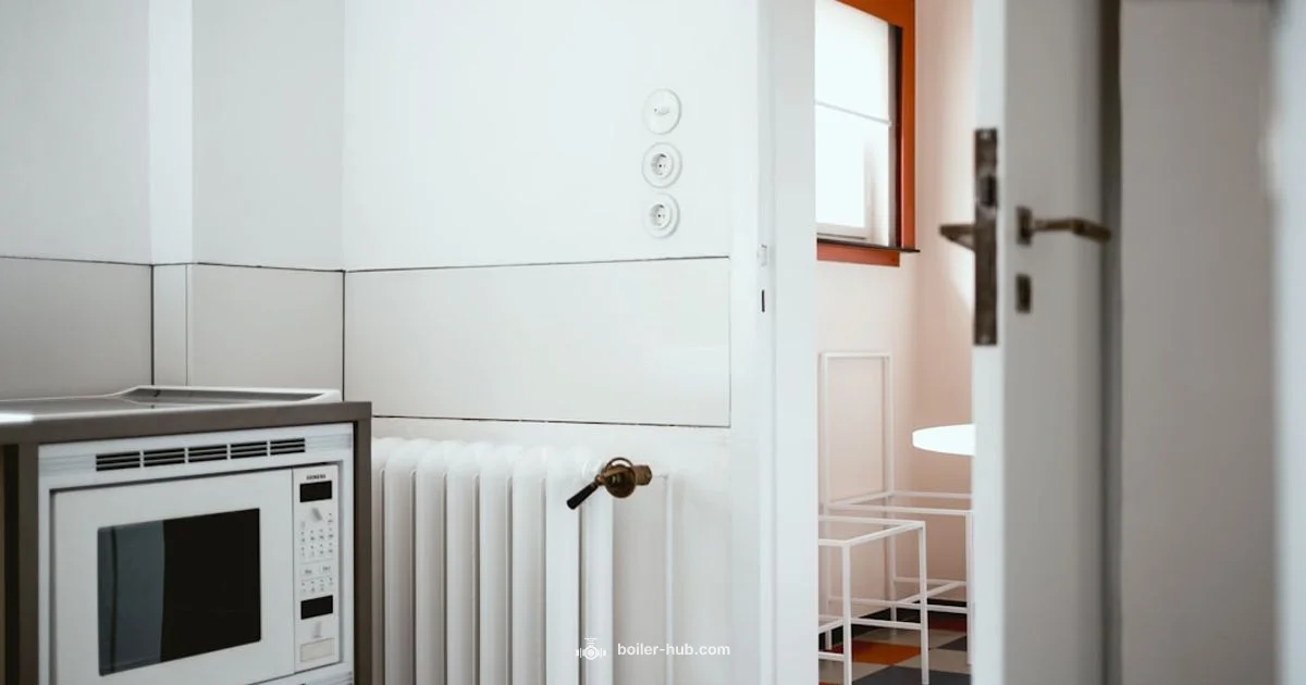 Right Boiler Choice Right Boiler Choice - Boiler Hub