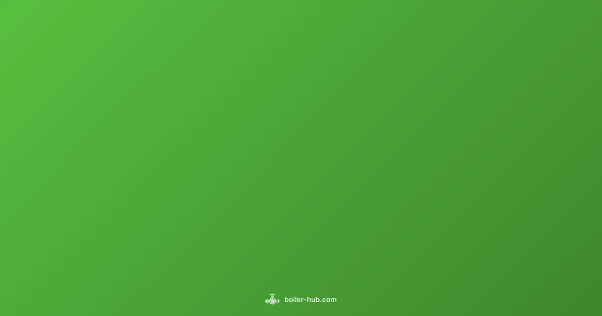 Boiler Safety Guide - Boiler Hub (illustration)