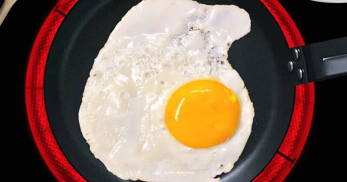 Eggs Boiler Guide Eggs Boiler Guide - Boiler Hub