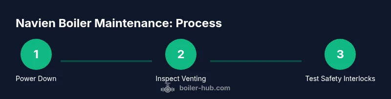 Process diagram showing Navien boiler maintenance steps