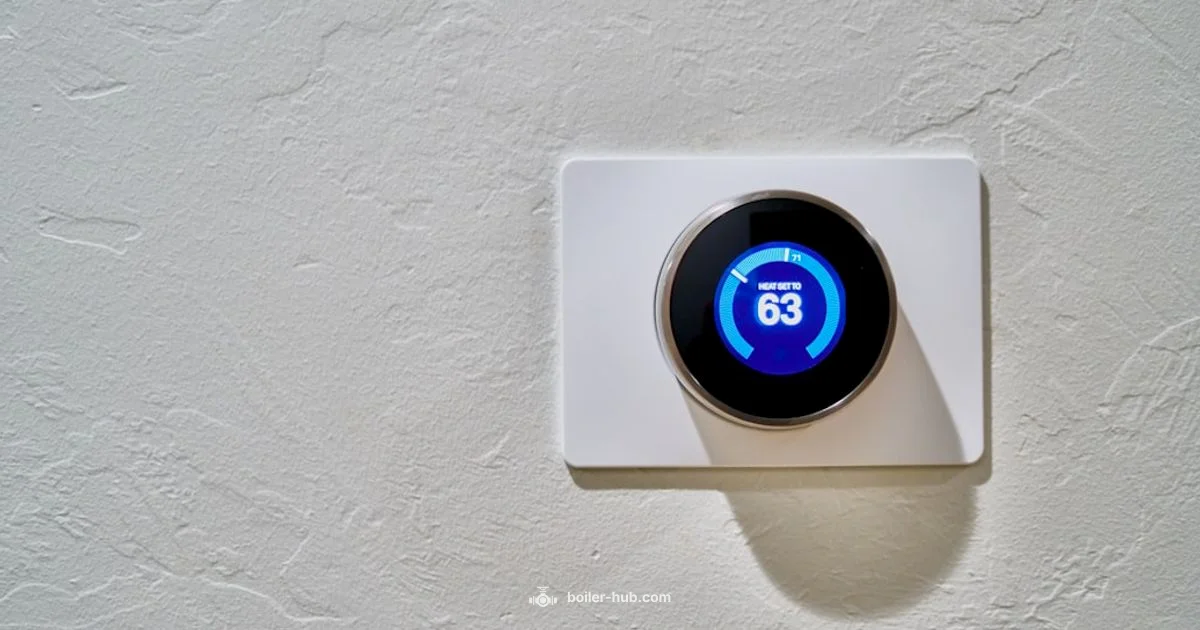 Water Boiler Guide - Boiler Hub