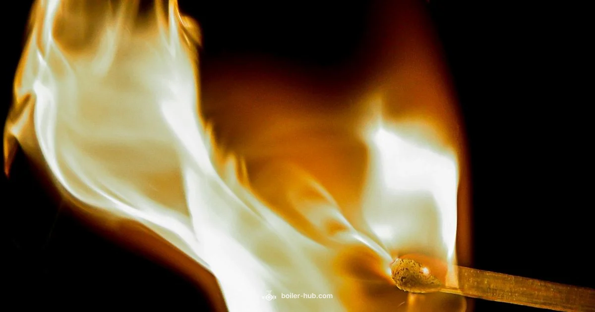 Boiler Startup Guide Boiler Startup Guide - Boiler Hub