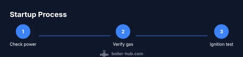 Process flow to get boiler to fire up