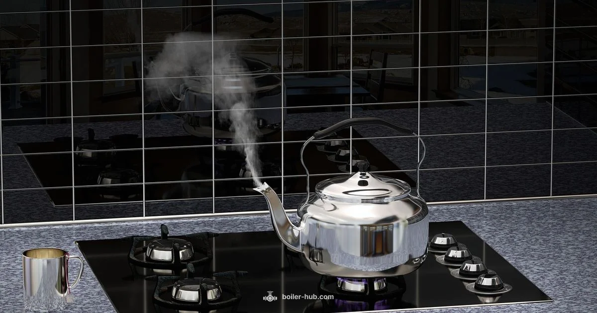 Hydrogen Ready Boilers - Boiler Hub