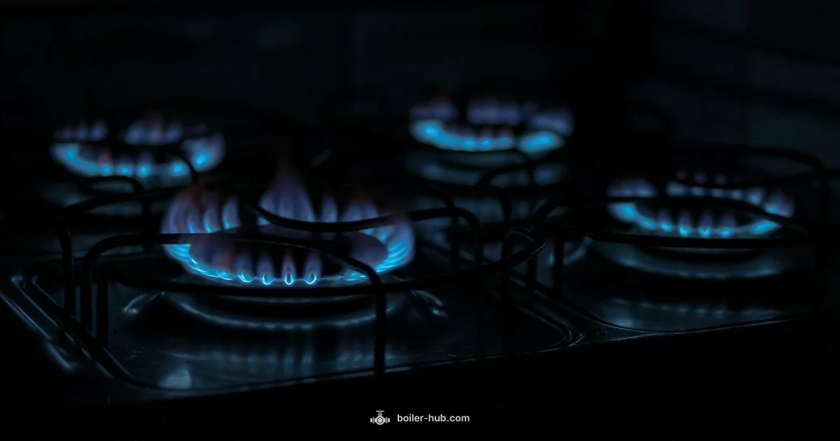 Boiler Value Guide Boiler Value Guide - Boiler Hub