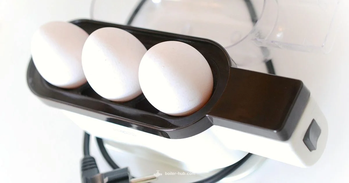 Egg Boiler Guide - Boiler Hub