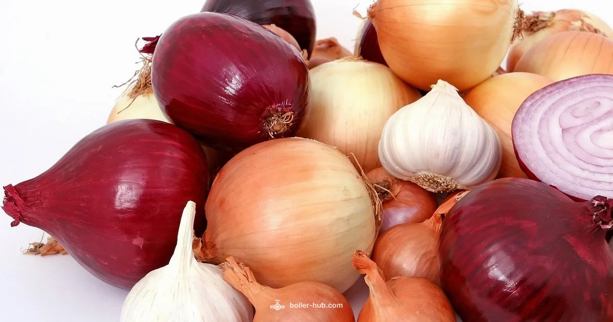Peel Onions - Boiler Hub