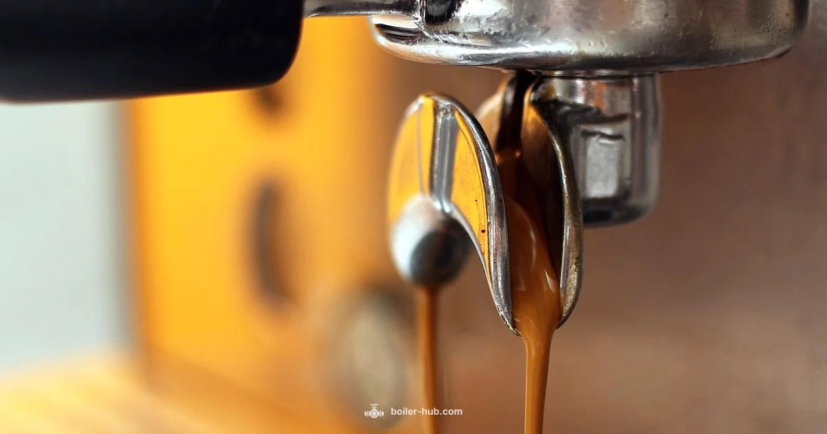 Breville Dual Boiler Guide - Boiler Hub