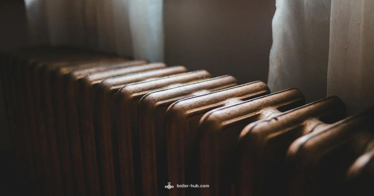 Warmth Basics Warmth Basics - Boiler Hub