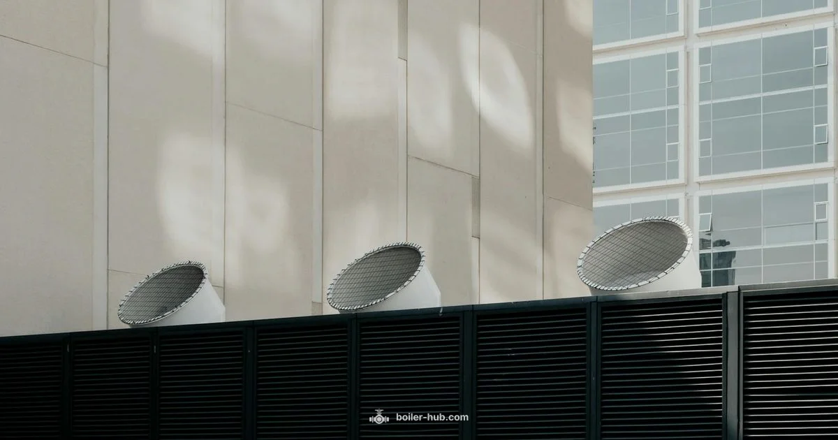 Direct Vent Boiler - Boiler Hub