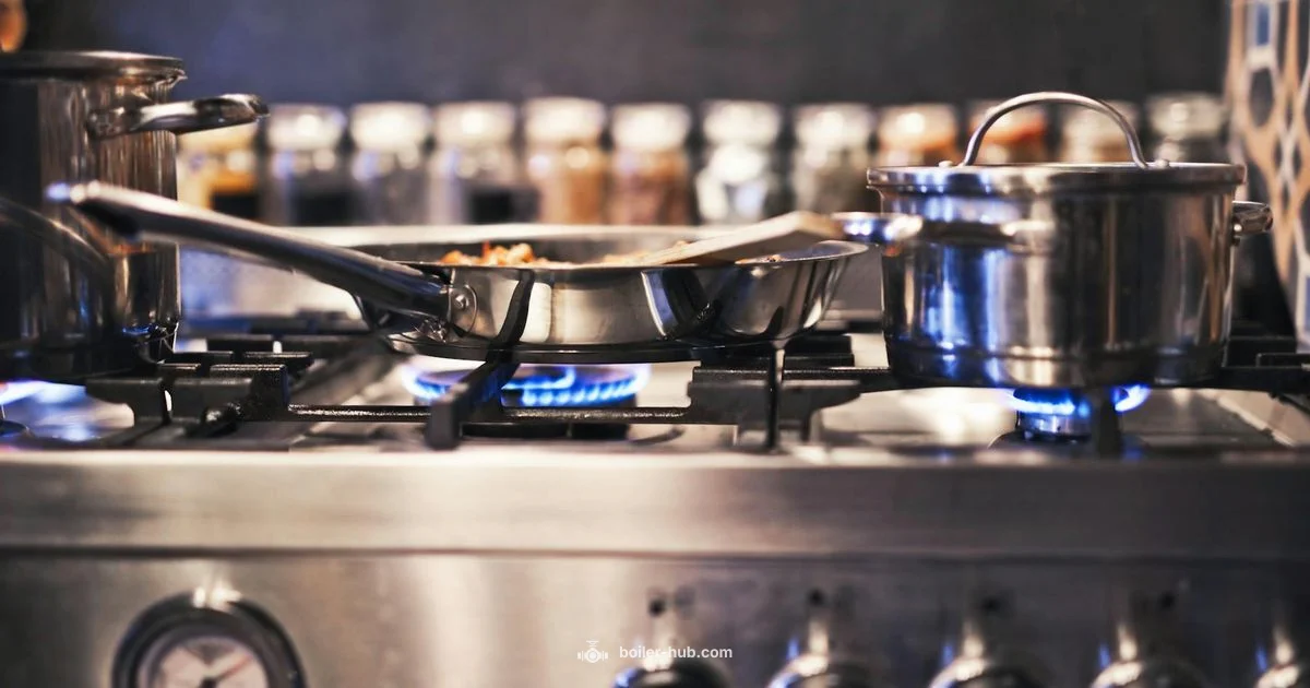 Propane Conversion Guide Propane Conversion Guide - Boiler Hub