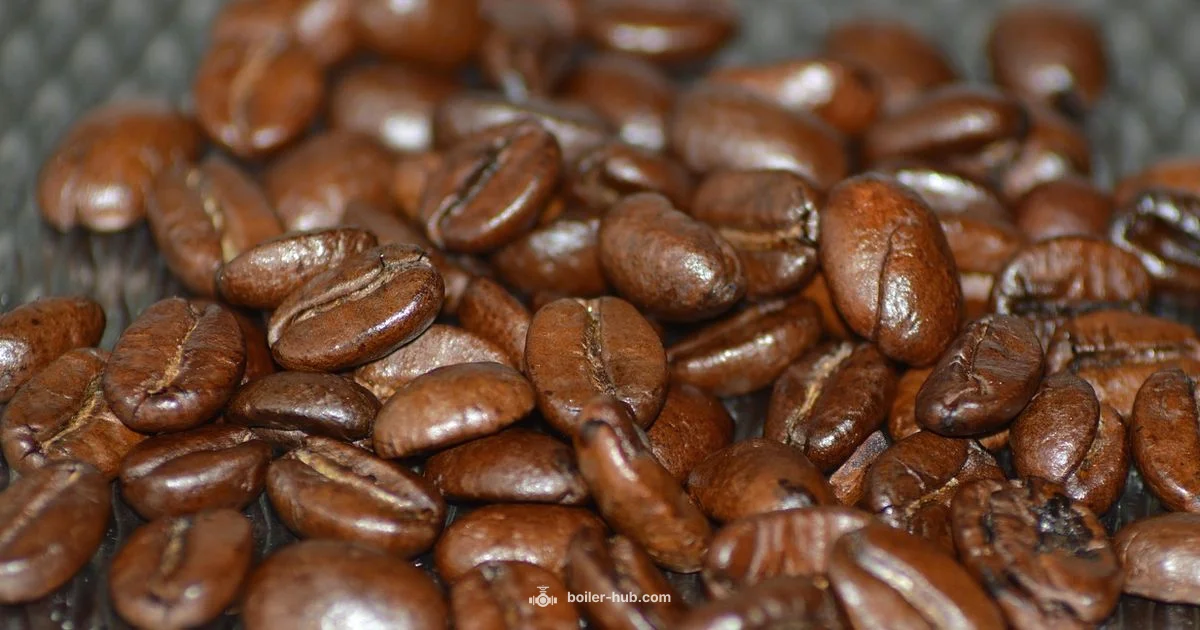 Dual Boiler Review - Boiler Hub