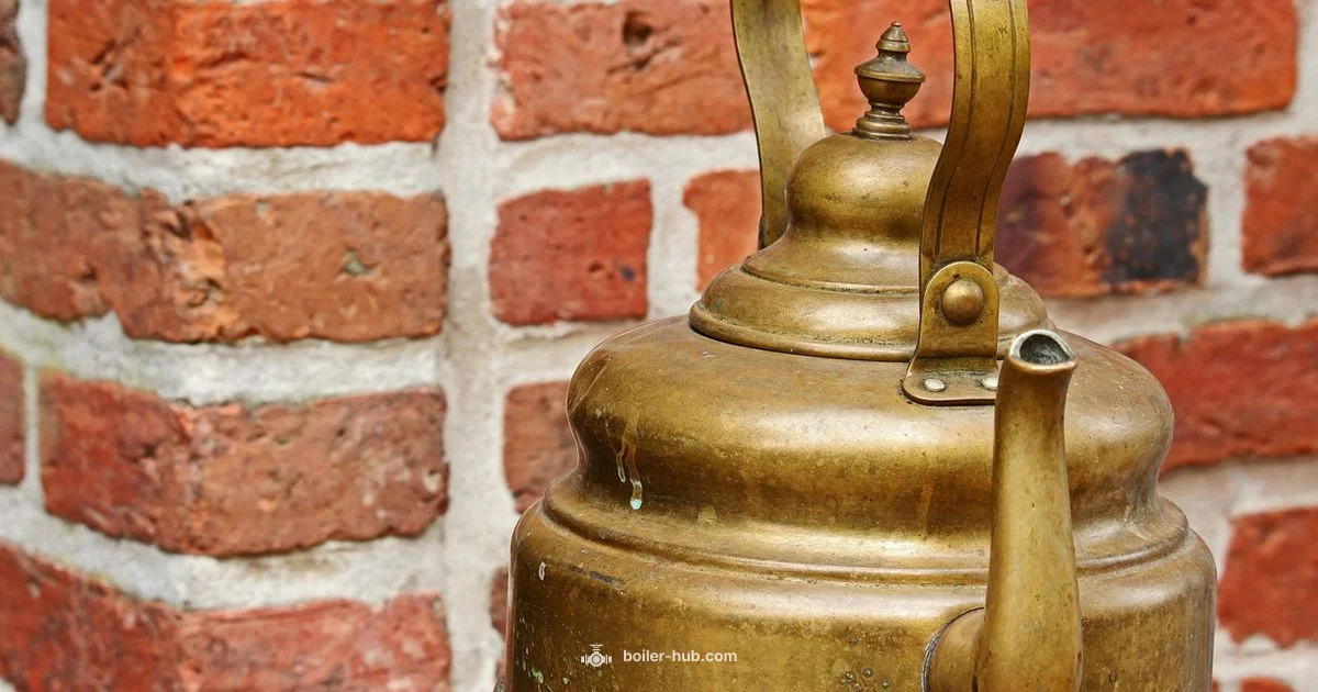 Kettling Noise - Boiler Hub