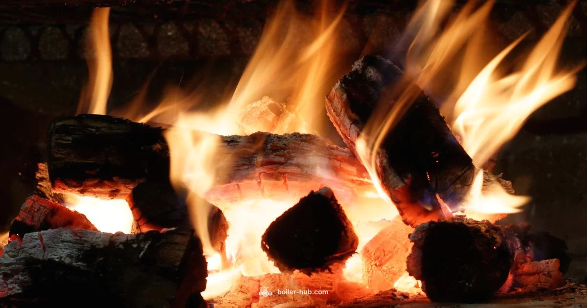 Wood Boiler System - Boiler Hub