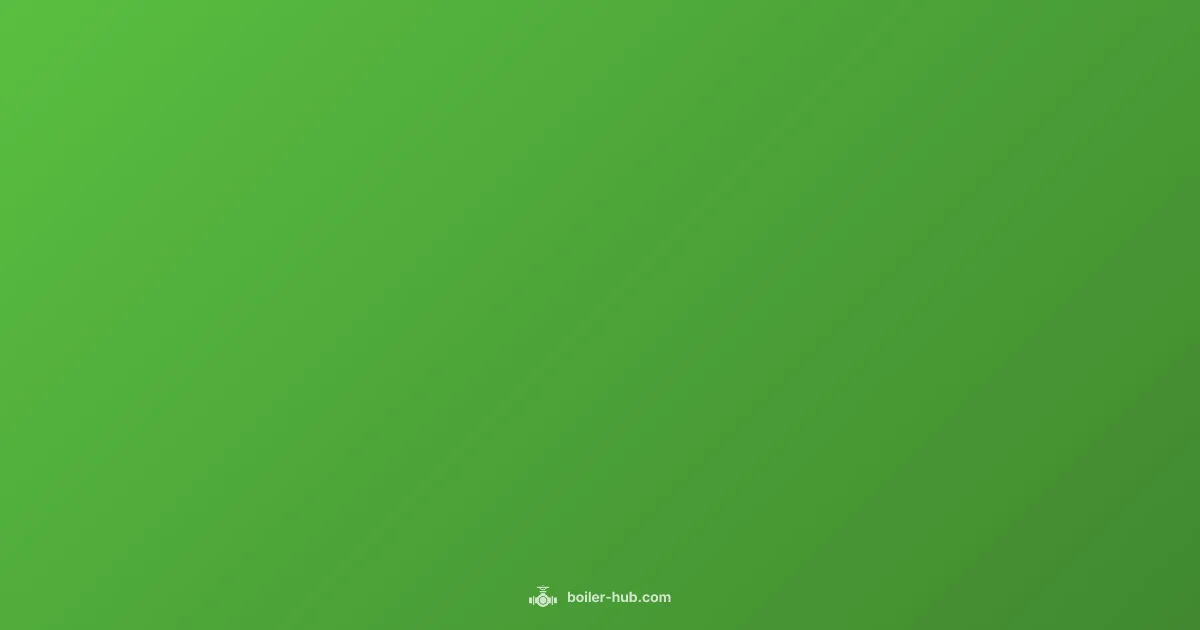 Boiler Feed Guide - Boiler Hub (illustration)