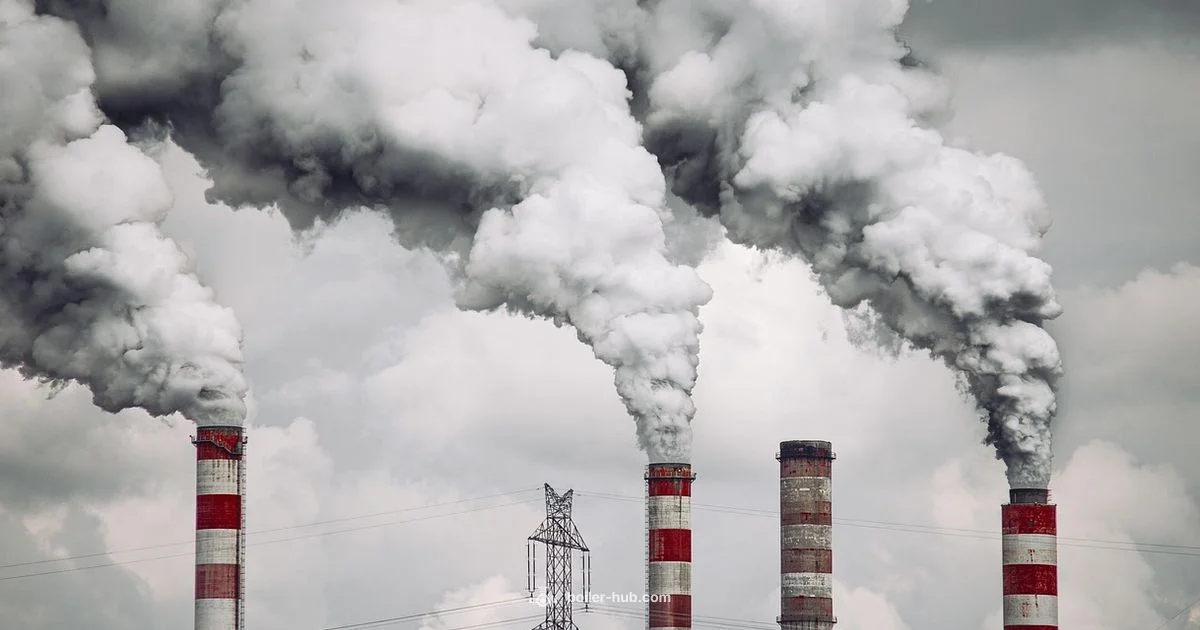 ASME Codes Guide - Boiler Hub