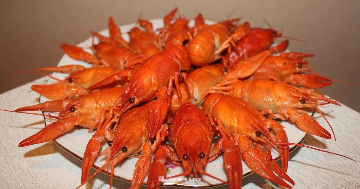 Crawfish Boiler Guide - Boiler Hub