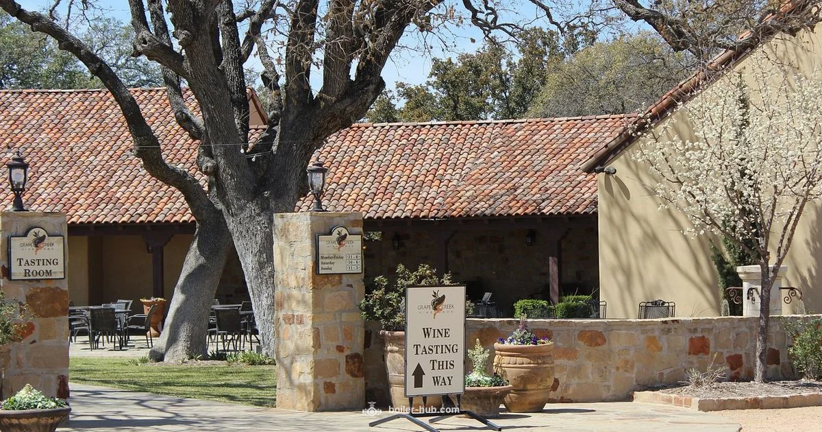 Blue Prince Lab - Boiler Hub