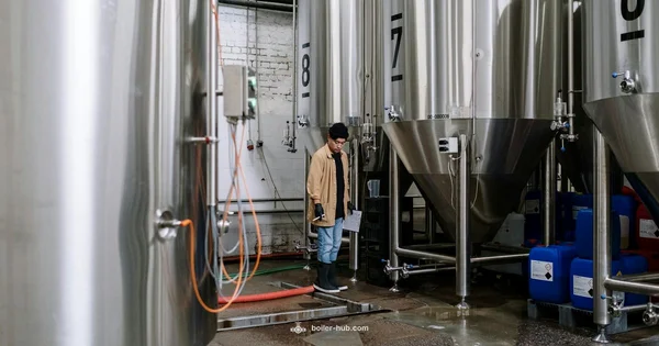 Boiler Flue Safety - Boiler Hub